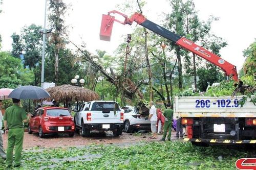 Cây móc và cây xanh bật gốc đè trúng ô tô trong khuôn viên Khách sạn Sơn La