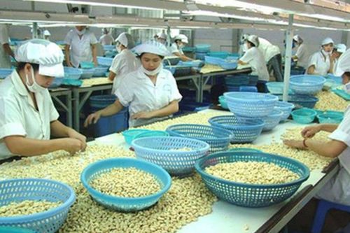 Xuất xứ hàng hóa được quy định thế nào trong Hiệp định RCEP?