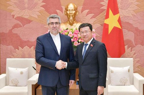 Chủ nhiệm Ủy ban Đối ngoại Vũ Hải Hà tiếp Đại sứ Iran