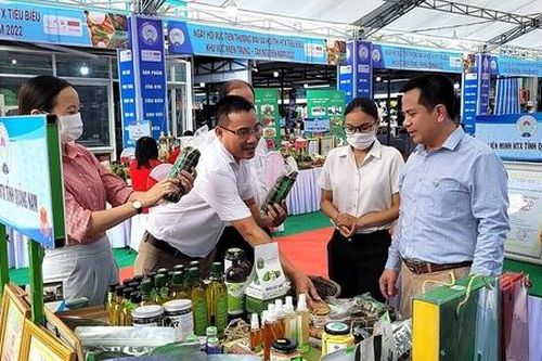 Mở cơ hội kết nối giao thương cho khu vực KTTT, HTX
