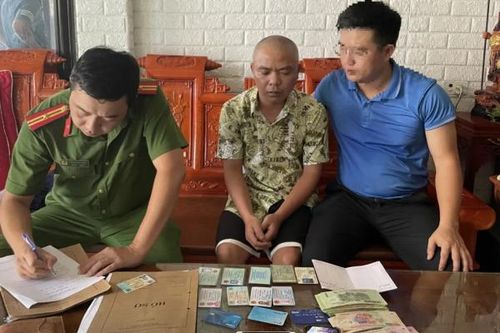 Lên mạng lừa bán vé máy bay giá rẻ, chiếm đoạt hàng trăm triệu đồng