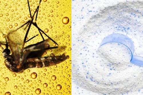 Trộn bột giặt với bia có công dụng gì?