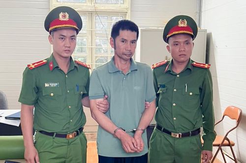 Bắt tạm giam trưởng bản hủy hoại rừng ở Sơn La