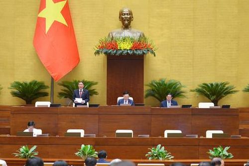 Gỡ vướng cho đấu thầu mua thuốc, trang thiết bị, vật tư y tế