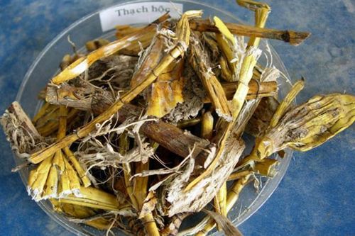 Thạch hộc, vị thuốc giải nhiệt tốt trong mùa hè