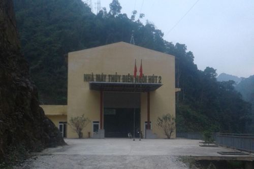 Yên Bái: Quản lý yếu kém để Công ty Trường Thành khai thác làm mất hơn 320m3 gỗ