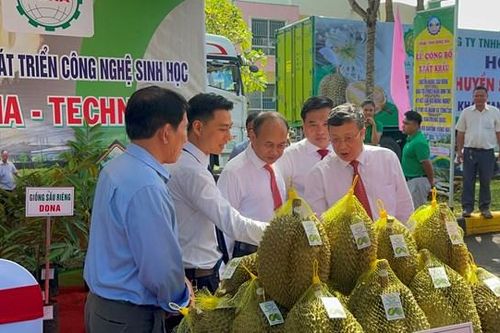 Niềm vui ở thủ phủ trái cây Đồng Nai
