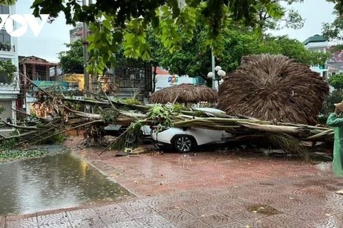 Cây xanh bật gốc, gãy đổ đè trúng ôtô sau trận mưa dông