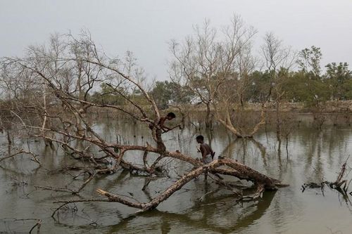 Giải bài toán khí hậu và nghèo đói