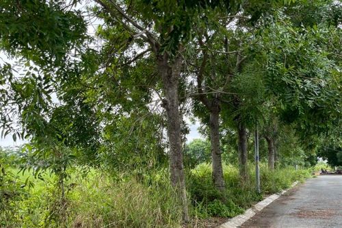 Hàng chục dự án nhà ở không đủ điều kiện chấp thuận chủ trương đầu tư