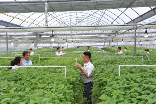 Chuyển giao NCKH công nghệ, tạo cộng hưởng từ mối liên kết 3 bên