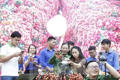 Thanh niên bán vải thiều bằng TikTok