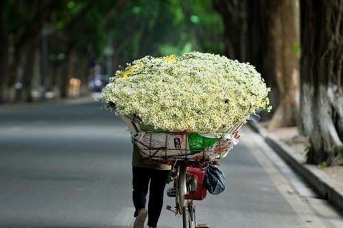 Hà Nội, TP HCM là điểm đến xu hướng hàng đầu thế giới dành cho khách du lịch một mình