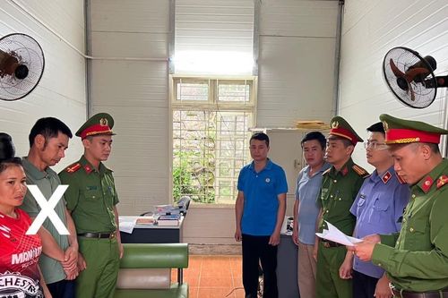 Khởi tố, bắt tạm giam bí thư kiêm trưởng bản tội hủy hoại rừng
