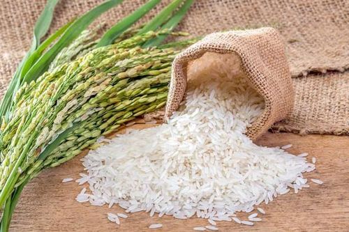 Để cây lúa mãi là 'hạt ngọc trời'