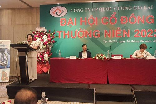 CEO Nguyễn Thị Như Loan: 'Doanh nghiệp bất động sản đi vào ngõ cụt'
