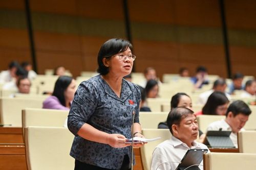 Đại biểu Quốc hội: Cần quan tâm ngân sách chi cho lực lượng tham gia bảo vệ an ninh cơ sở