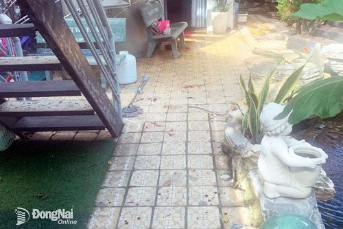 Vụ tài xế đâm chủ xe khiến 2 người tử vong: Một nạn nhân đã qua cơn nguy kịch