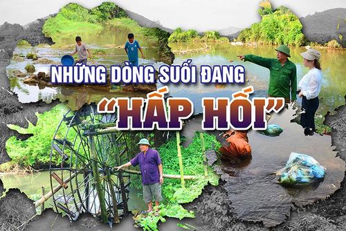 Những dòng suối đang hấp hối
