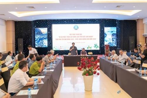Phú Yên mở hướng phát triển dược liệu dưới tán rừng và đất lâm nghiệp