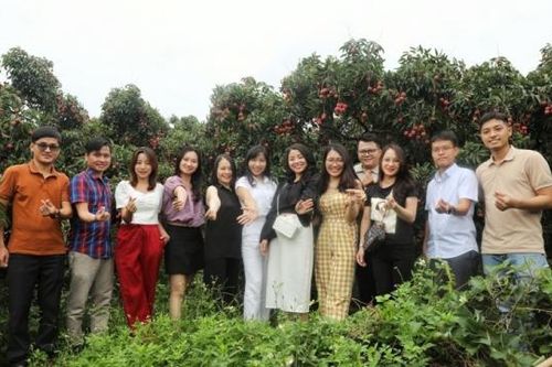 Một ngày trải nghiệm tại vựa vải thiều Lục Ngạn