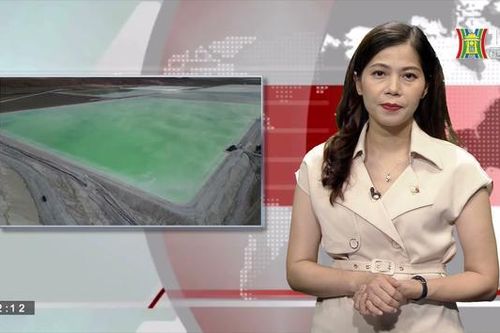 Các nước chạy đua sản xuất pin xe điện | Nhìn ra thế giới | 24/06/2023