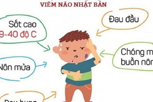Đắk Lắk có bệnh nhi thứ 2 mắc viêm não Nhật Bản
