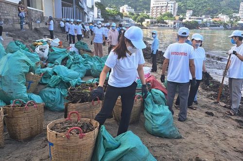 TP Vũng Tàu: Chung tay đi dọn rác biển