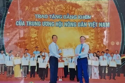 Quyết tâm không chỉ giảm nghèo mà làm giàu trên đất quê hương