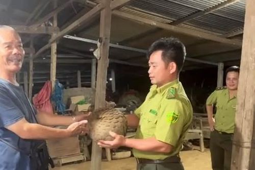 Người dân giao nộp con tê tê 'khủng' cho Vườn quốc gia Cát Tiên