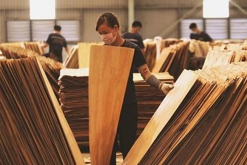 Cơ hội tỷ USD của ngành gỗ tại thị trường UAE