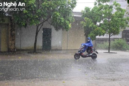 'Mưa vàng' giải nhiệt tại nhiều địa phương ở Nghệ An
