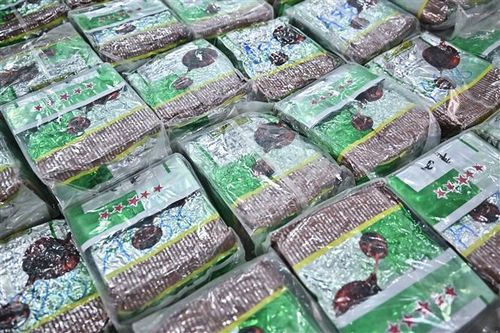 Hải quan Trung Quốc tịch thu hơn 5 tấn ma túy kể từ năm 2022