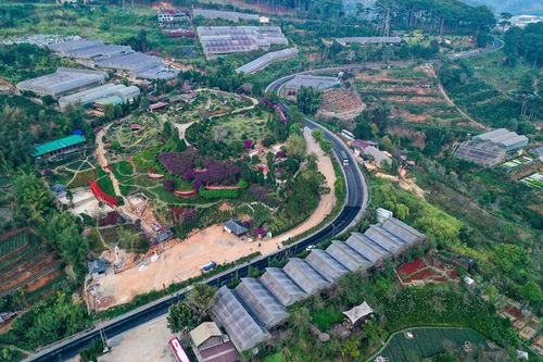 Liên tục xảy ra tai nạn giao thông trên đèo Mimosa, Đà Lạt