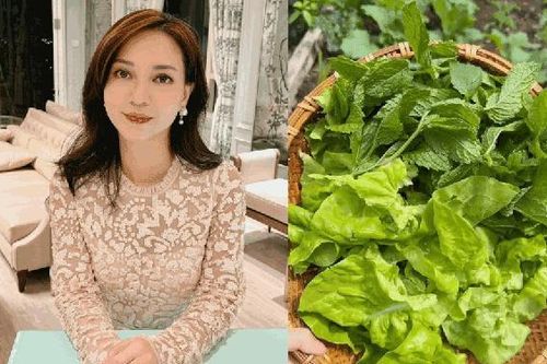 Khu vườn trồng nhiều rau thơm, bầu bí đậm vị quê hương ở Mỹ