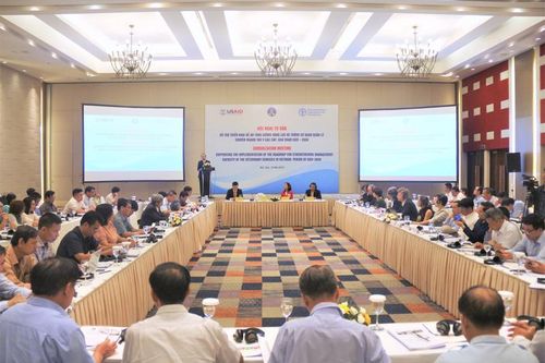 Củng cố hệ thống dịch vụ thú y để phát triển bền vững ngành chăn nuôi