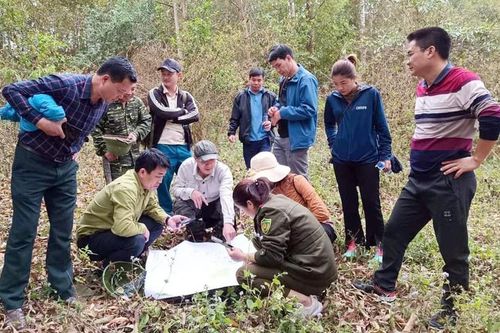 Tiến độ giao đất, giao rừng vẫn chậm