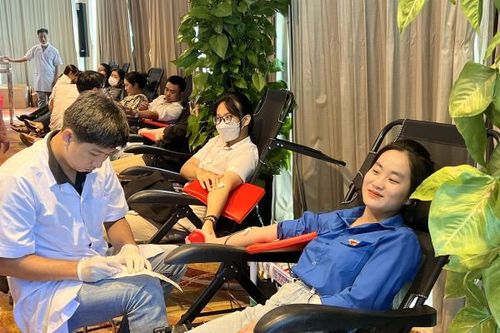 Nhân viên 13 khách sạn, resort tham gia hiến máu nhân đạo