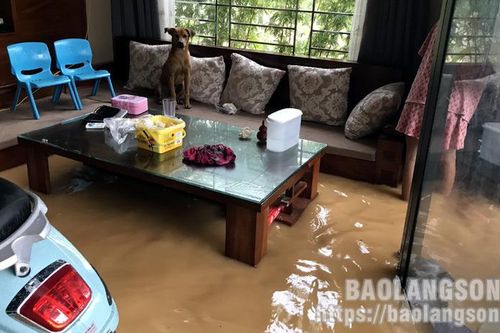 Mưa lớn kéo dài gây thiệt hại tài sản của người dân