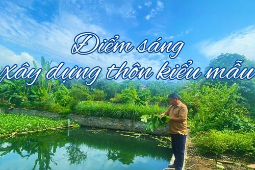 Điểm sáng xây dựng thôn kiểu mẫu