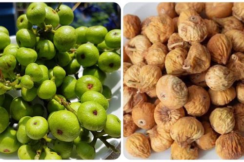 Tác dụng của quả sung khô
