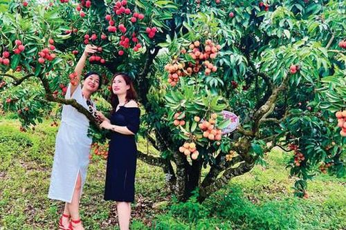 Bắc Giang: Điểm đến mới, hấp dẫn