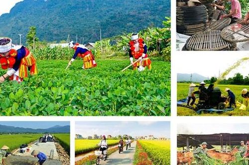 Chương trình mục tiêu quốc gia được ưu tiên sử dụng vốn ngân sách tại các địa bàn đặc biệt khó khăn