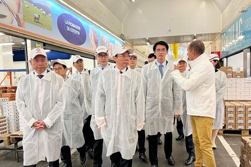 Tham khảo kinh nghiệm từ Pháp, nâng cấp chợ đầu mối tại TPHCM để thu hút du khách