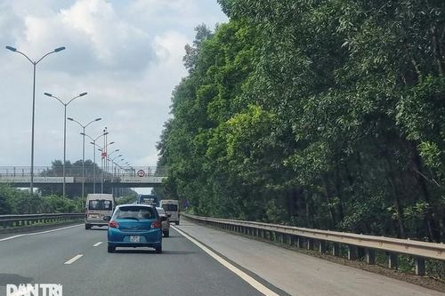 Vụ chặt cây dọc cao tốc Ninh Bình: Doanh nghiệp nói 'đến ngày thu hoạch'