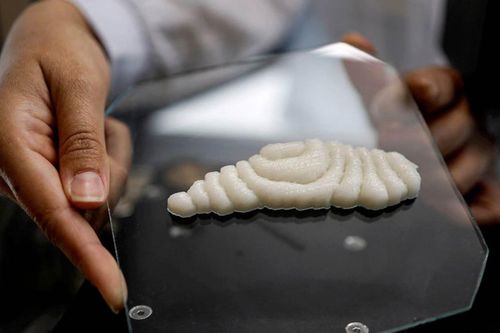 Tạo ra phi lê cá nhờ công nghệ in 3D