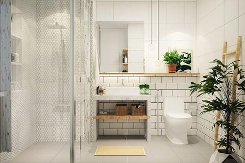 5 loại cây cảnh giúp nhà vệ sinh thơm mát