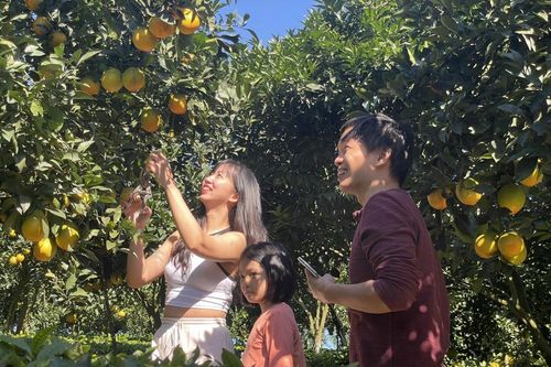 Những nông dân không cầm cuốc