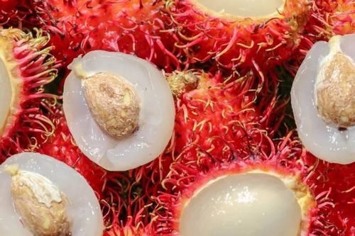 Hóc hạt chôm chôm, bé gái 9 tháng tuổi tử vong thương tâm
