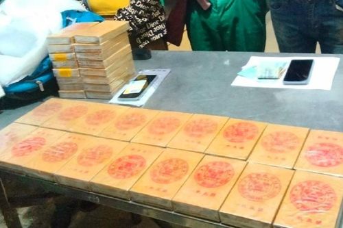 Bắt 2 đối tượng vận chuyển trái phép 34 bánh heroin từ Lào về Việt Nam